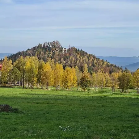Rezydencja Green Hill - Ekskluzywny Dom W Karpaczu Exterior photo